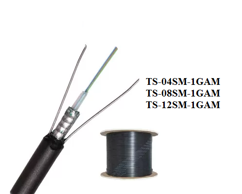 TS-12SM-1GAM+